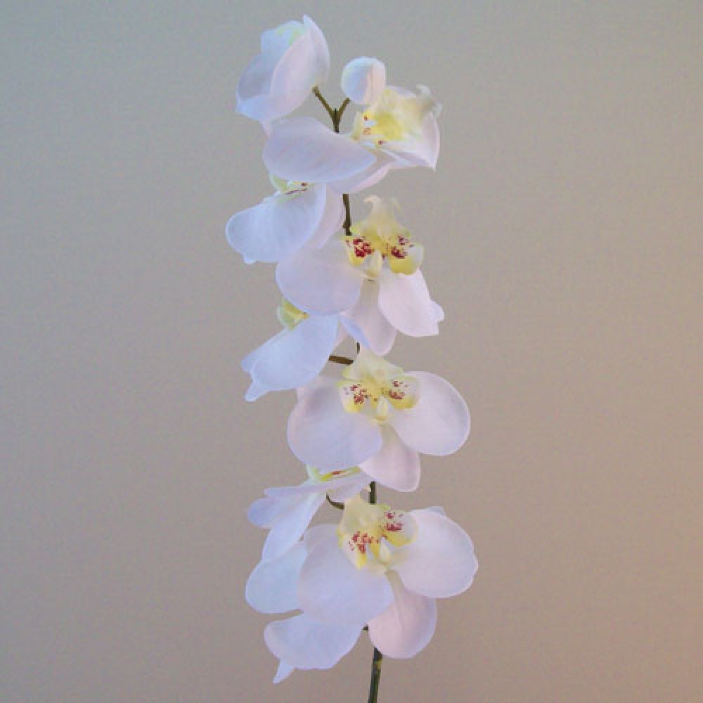 Artificial Phalaenopsis Orchids White 92cm Artificial Flowers